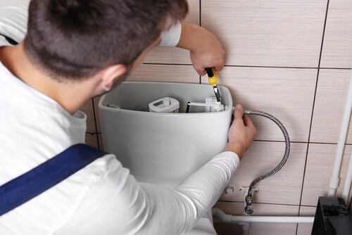 Toilet Flushes & Valves